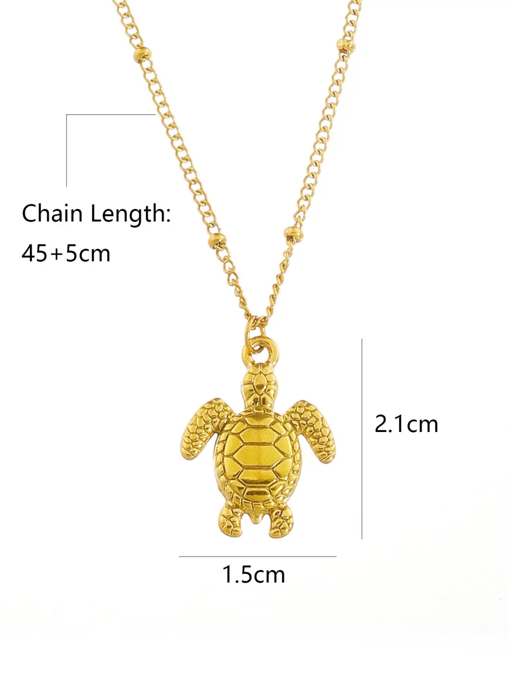 Tortuga